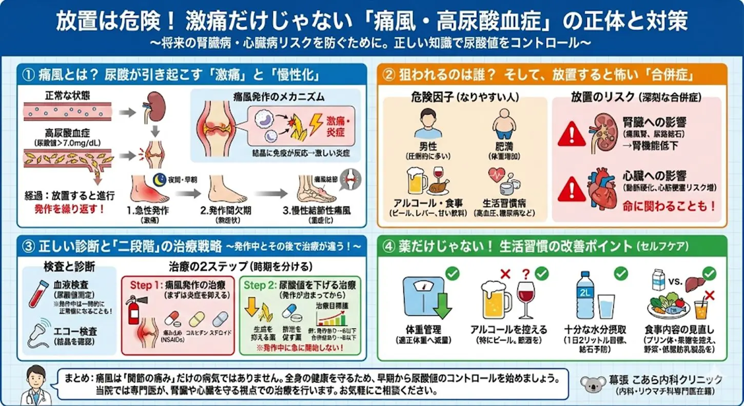 高尿酸血症・痛風 | こあら内科クリニック
